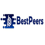 Bestpeers Infosystem Pvt. Ltd. logo