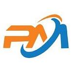 PM IT Solution logo