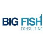 Big Fish Consulting logo