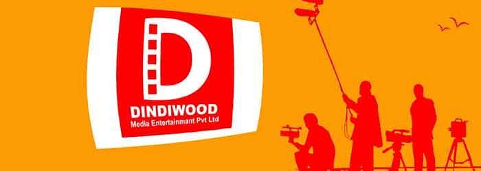 Dindiwood Media Entertainment Pvt. Ltd cover