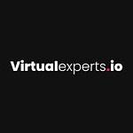 Virtual Experts