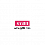 Gybtit Services Private Limited logo