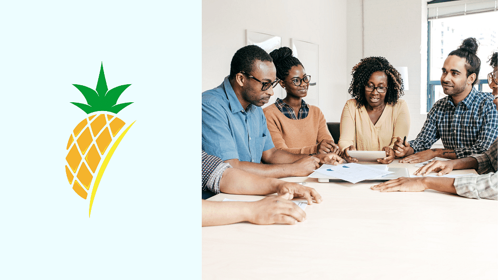 Pineapple Marketing Agency by Ollo Caribbean cover
