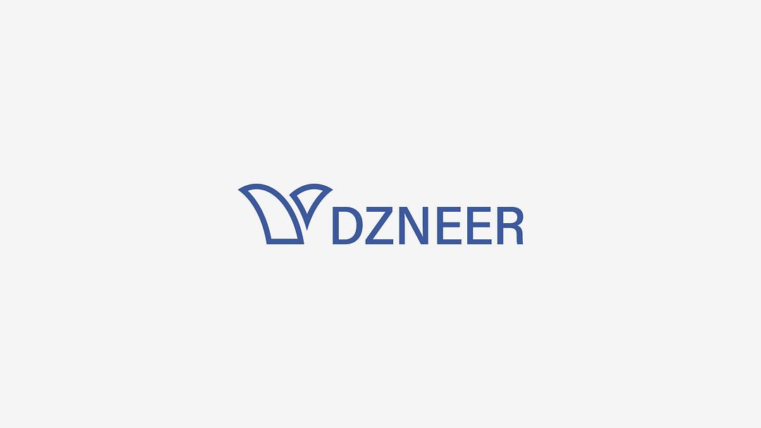 Dzneer cover
