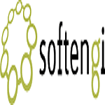 Softengi logo