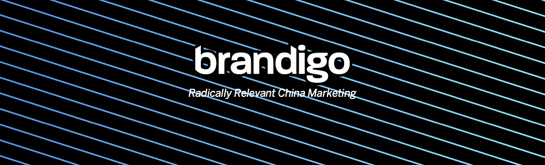 Brandigo China cover