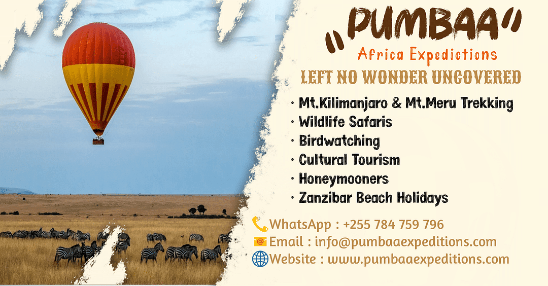 PUMBAA AFRICA EXPEDITIONS cover