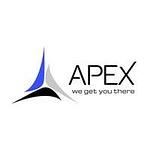 apexinfotechindia logo