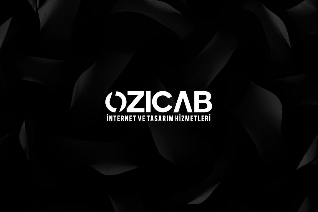 Ozicab Web Design cover