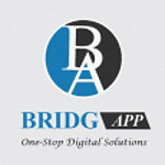 Bridg App logo