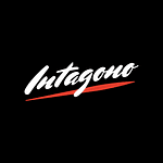 Agencia Digital: Intagono logo