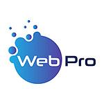 Web Pro - Pakistan logo
