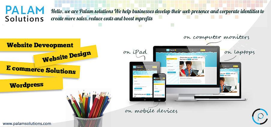 Palam solutions cover