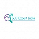 SEO Expert India | Hire SEO Company in India logo