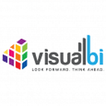 Visual BI solutions