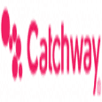 catchway web solutions pvt ltd logo