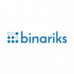 Binariks Inc