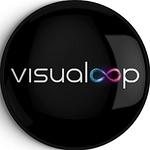 Visualoop logo