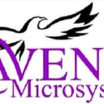RavenSoft Microsystems