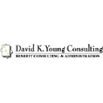 David K Young Consulting LLC