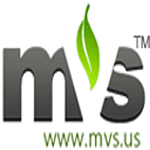 MVS Consulting Inc