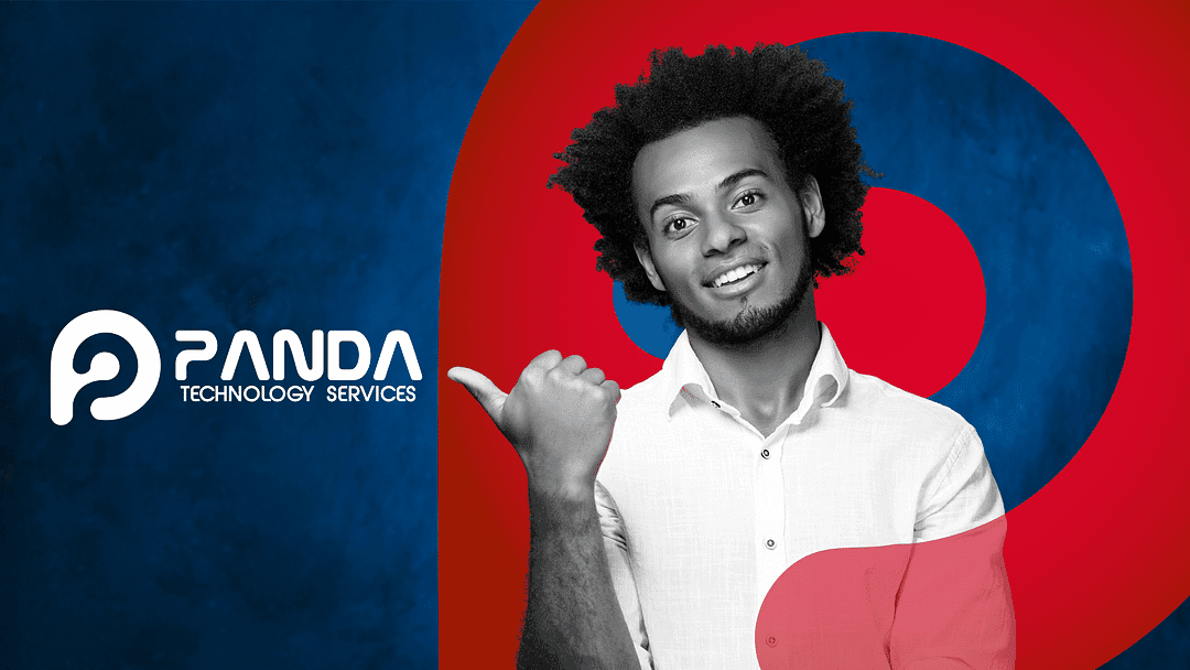 Panda Technology Services cover