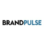 Brandpulse AG - Markenberatung - Branding Agentur
