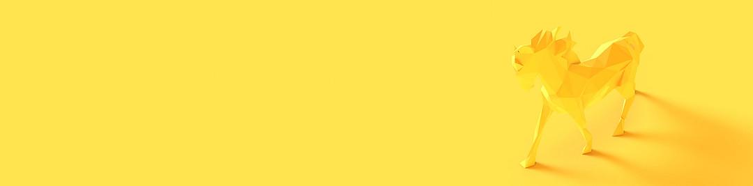 Yellow Branding & Digital cover