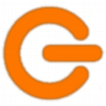 Guglex Web Services Private Limited logo