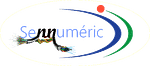 sennumeric logo