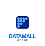 DataMall Group logo