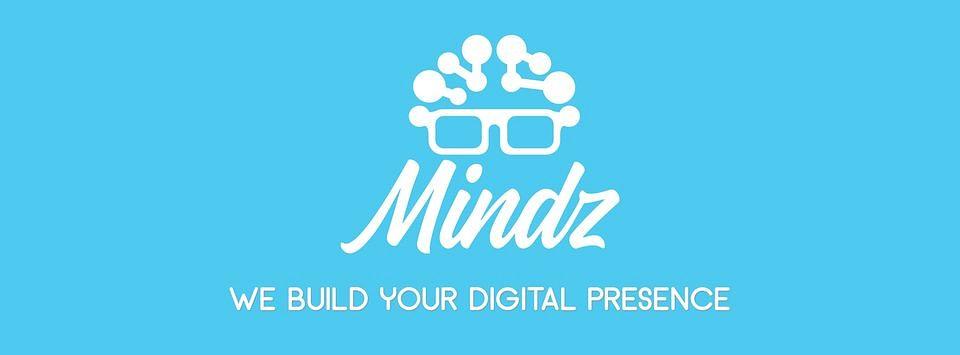Mindz Technologies cover
