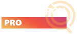 One Search Pro - Digital Marketing Agency Malaysia logo