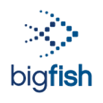 Big Fish App Development Studio