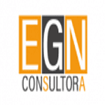 EGN Consultant logo