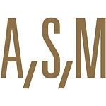 A,S,M, Werbeagentur GmbH und Markenberatung logo