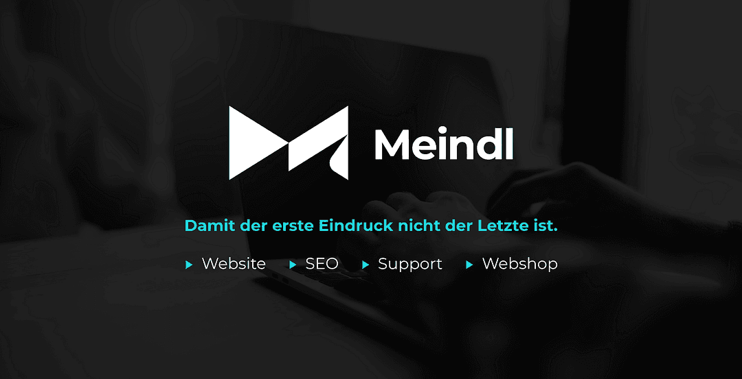 Meindl-Webdesign cover