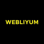 Webliyum - Web Tasarım, SEO, Dijital Pazarlama ve Reklam Ajansı