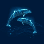 Cyber Dolphins
