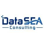 Datasea Consulting