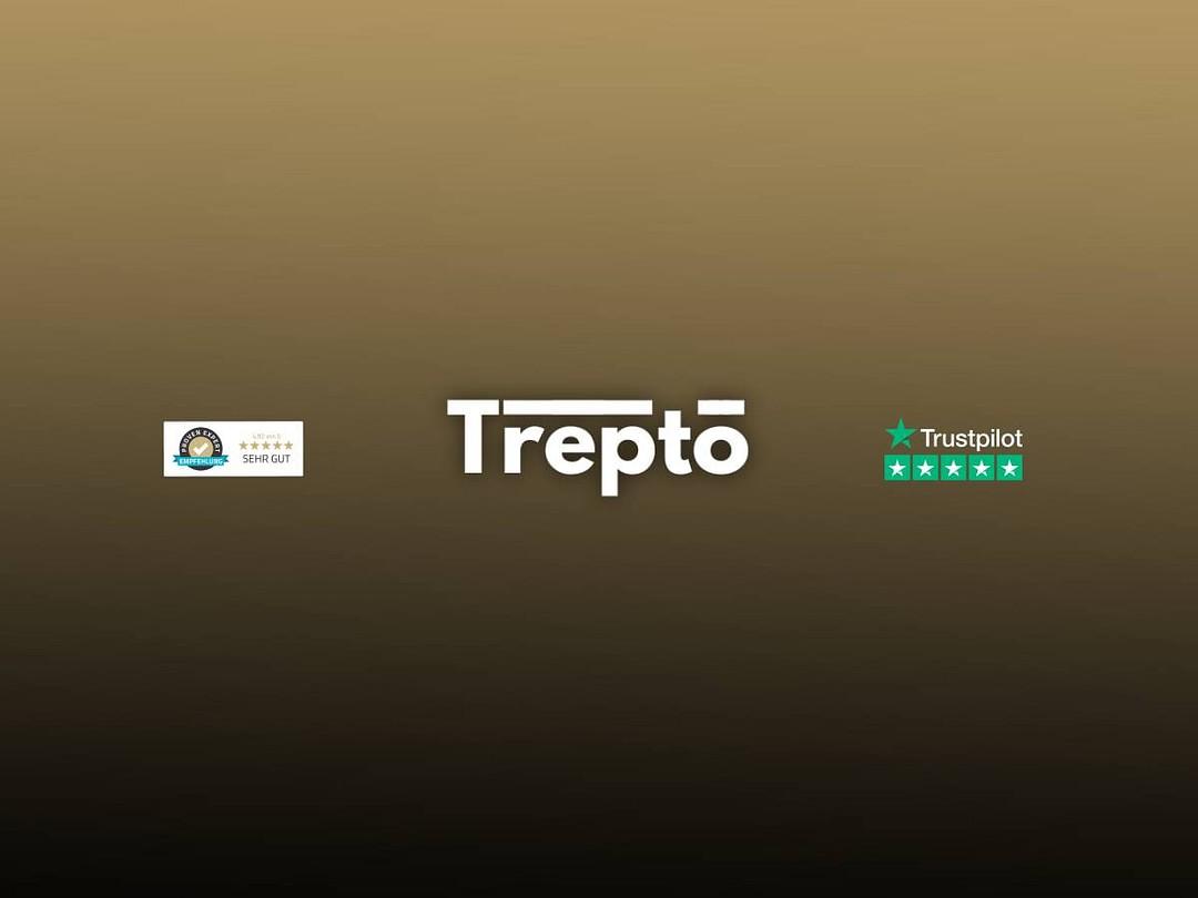 TREPTO Consulting cover