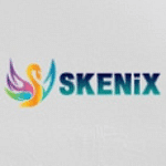 Skenix Infotech logo
