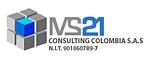 MS21Consulting logo