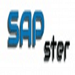SAPster IT Consulting logo