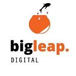 Big Leap Digital