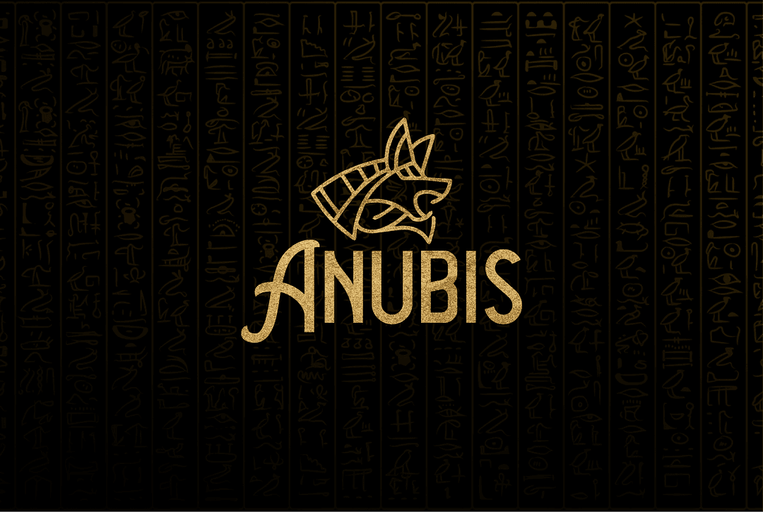 Anubis Business Solutions cover