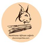 numinous African safaris logo
