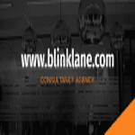 BlinkLane Consulting B.V.