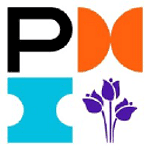 PMI Netherlands Chapter logo