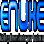 Enuke Software Pvt Ltd. logo